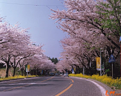 贺-小仙女采集到道路