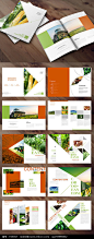 绿色大气农业画册图片