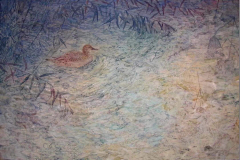 ccccdg采集到国画、工笔画