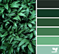 Color Nature | Design Seeds : { color nature } image via: @diana_lovring