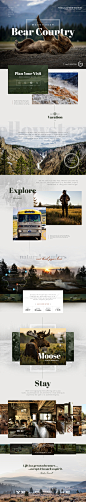 Yellowstonhttp___huaban.com__e full