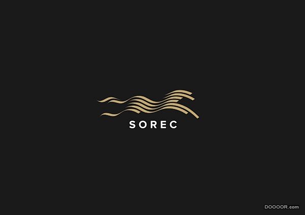 SOREC赛马公司公司品牌VI设计 [1...