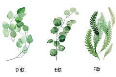 ooooooo·采集到文艺植物插画