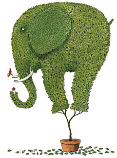 不相望采集到animal