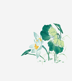嘿啊一采集到水墨莲花