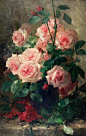 Frans Mortelmans  花