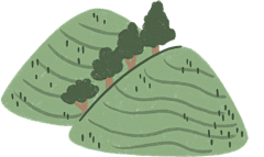脑张力爆表采集到茶 插画 免抠素材 png