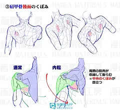 漫画手绘人体怎么画？一步步教你画漫画手绘人体