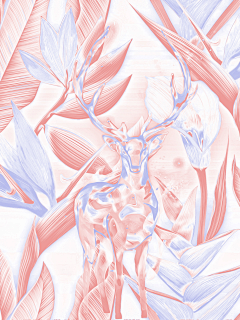 _Aurora᙮采集到小说