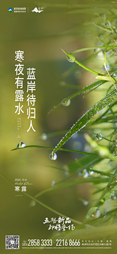 yannonono采集到【24节气】- 寒露/霜降/立冬/小雪