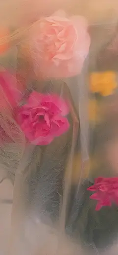 手机壁纸