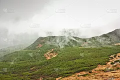 山中青山，雾中雨。