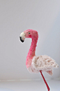 Image of Flamingo