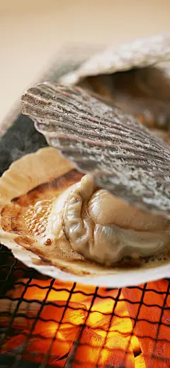 iPhoneX/Xs/Max全面屏 美食水果 - 堆糖，美图壁纸兴趣社区