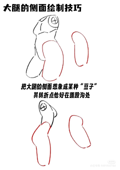 北冥扶风采集到女性人体结构