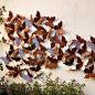 Butterfly Wall Panel