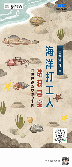 超级大新采集到国内品牌