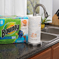 Packaging design inspires passion with Bounty prints - Work - Interbrand : More than a picker-upper, Bounty’s prints tap into emotion to stand out in a crowded segment. Learn how prints helped Bounty lead the household category.