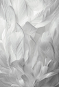Goose Feathers Background创意图片素材 - E+