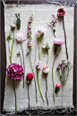 These can be purple too! The following pink flowers used in this guide are dahlia, larkspur, Dutch hydrangea, Dutch tulip, garden blossom, garden rose, rose, grafted cactus, helleborus, hyacinth, peony, ranunculus, succulent blossom, and wax flower.