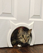 Need a great cat door, but want something better than the standard flap? Here are 10 amazing and unique cat doors that you can buy or make yourself as a DIY cat door project.: 