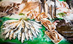 鱼类,灶台,深海鮟鱇,安康鱼,人的头部,水平画幅,蓝色,维生素,海产,动物身体部位