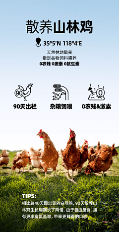 WATErYUI采集到宠物