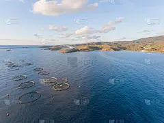 开放海鱼养殖场