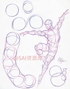 人体结构 - 堆糖，美图壁纸兴趣社区