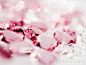 闪亮的钻石水晶 - 浪漫闪烁背景 - Sparkling Diamonds and Crystals - Romantic Sparkling  Backgrounds5