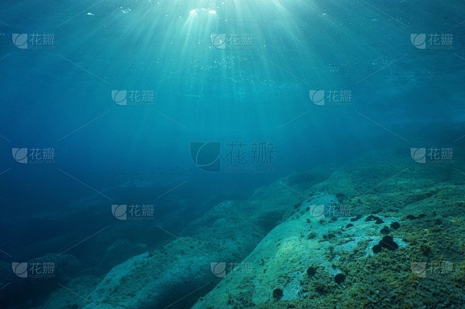 阳光下的地中海岩石海床