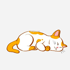 2yBil8Aq采集到猫