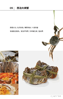 杜杜Niki采集到蟹