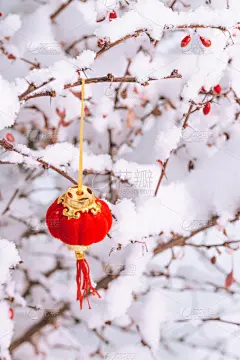 灯笼,雪,红色,传统,寒冷,春节,中国灯笼,环境,传统节日,中国