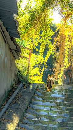 姜莱要暴富采集到风景速写素材