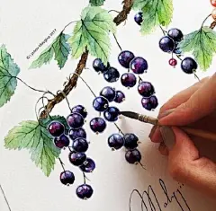 #木棉分享# 

ins插画
深夜总是在甜食和浆果中无法自拔 ​