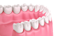 牙龈