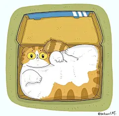 猫咪迷惑行为大赏！这40个猫咪的爆笑瞬间，每一张都是表情包哈哈哈哈 (25)