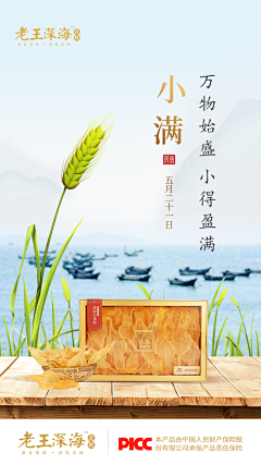 大只虾采集到参考