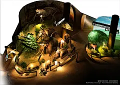 内蒙古自然博物馆 6053755