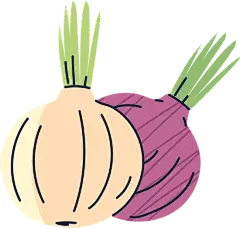 Fresh Onion Vegetable Isolated Icon