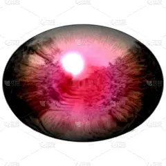 孤立的眼睛。迅猛龙紫色眼睛，瞳孔和红色视网膜