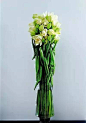 《花艺》