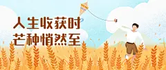 芒种节气稻田风筝插画公众号首图