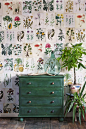 Art Inspiration | Cover your wall in botanical prints...make your own custom wallpaper | Original homemaking
