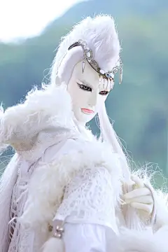 白狼