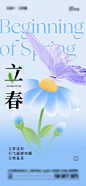立春节气海报