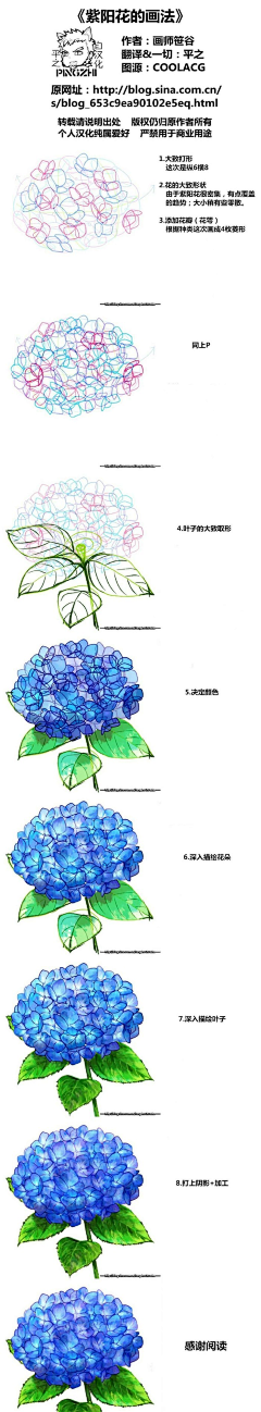 言柚子采集到生物-植物教程