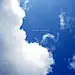 三颗毛毛头