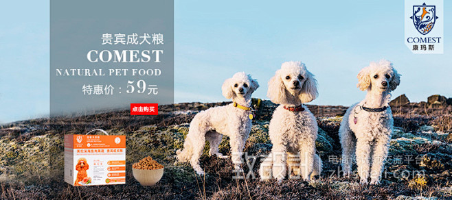狗粮猫粮海报 and banner积累